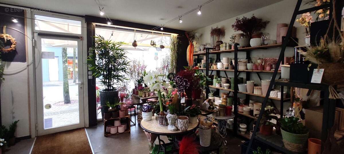 Appartement à COGNAC