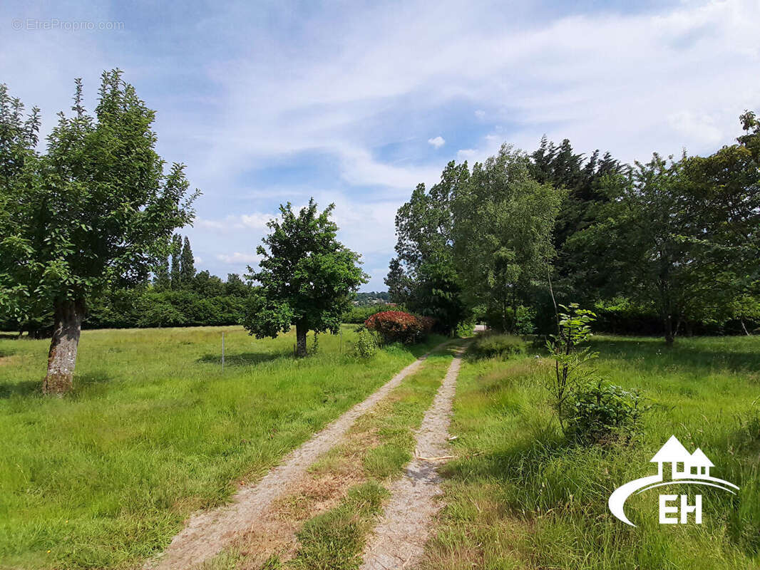 Maison ancienne - 4 chambres - terrain 9 630 m² - photo 10