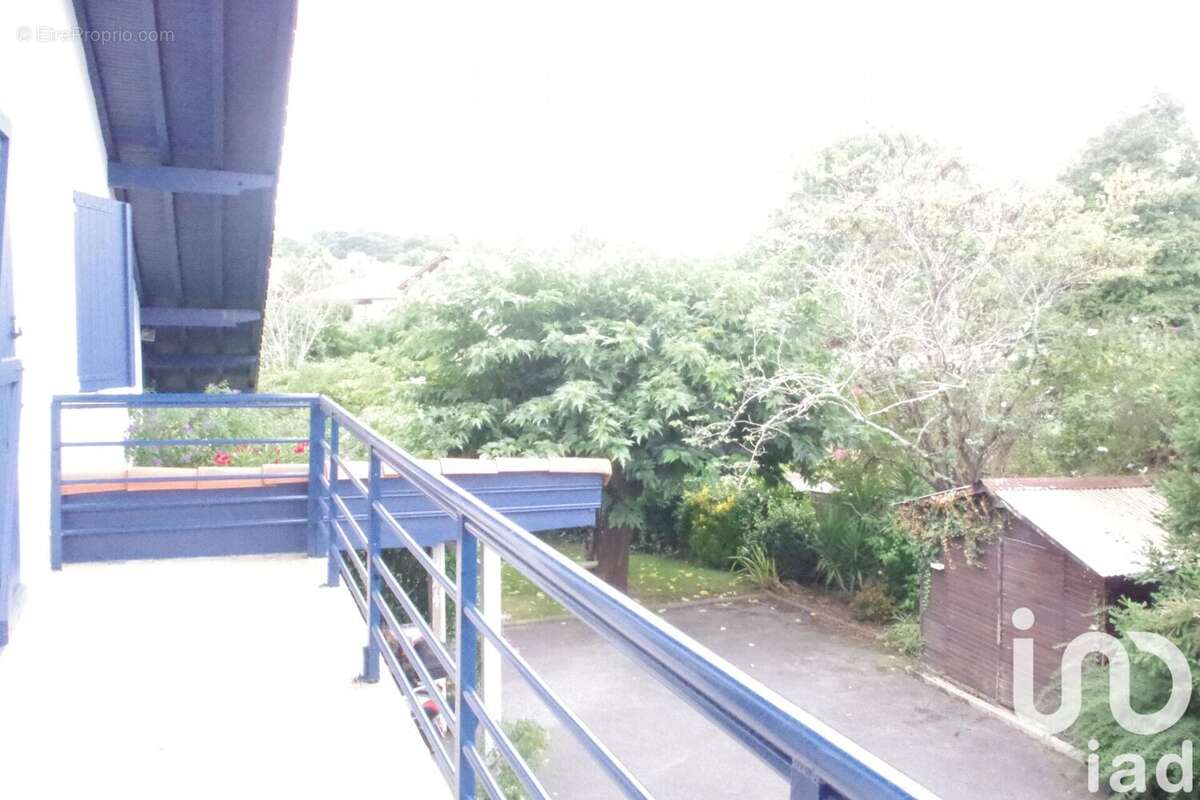 Photo 3 - Maison à SAINT-PIERRE-D'IRUBE