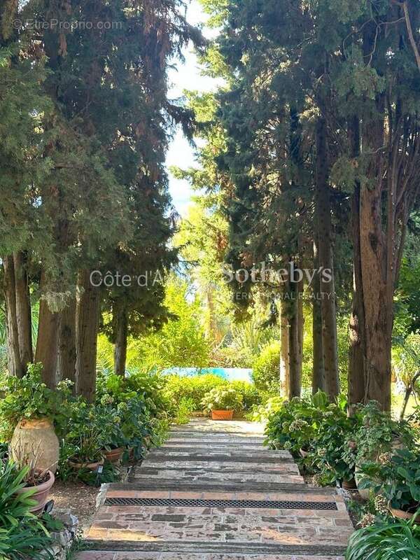 Villa historique, vue panoramique Monaco, jardin luxuriant à Roquebrune-Cap-Martin - photo 18