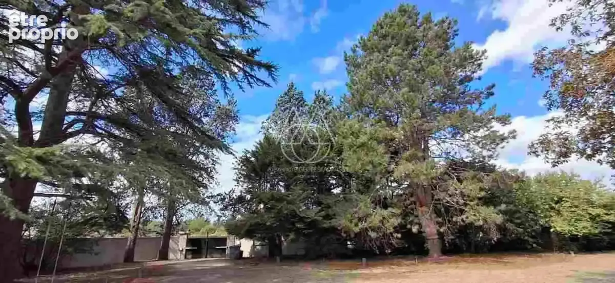 Entre Tours et Amboise, découvrez un moulin du XVIe siècle au cadre exceptionnel sur 3.4ha - photo 21