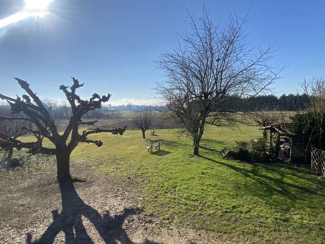 Maison à MONFLANQUIN