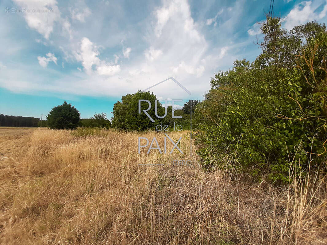 Terrain à DOUSSAY