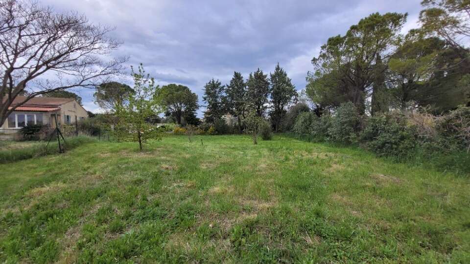 Terrain à SAINTE-CECILE-LES-VIGNES