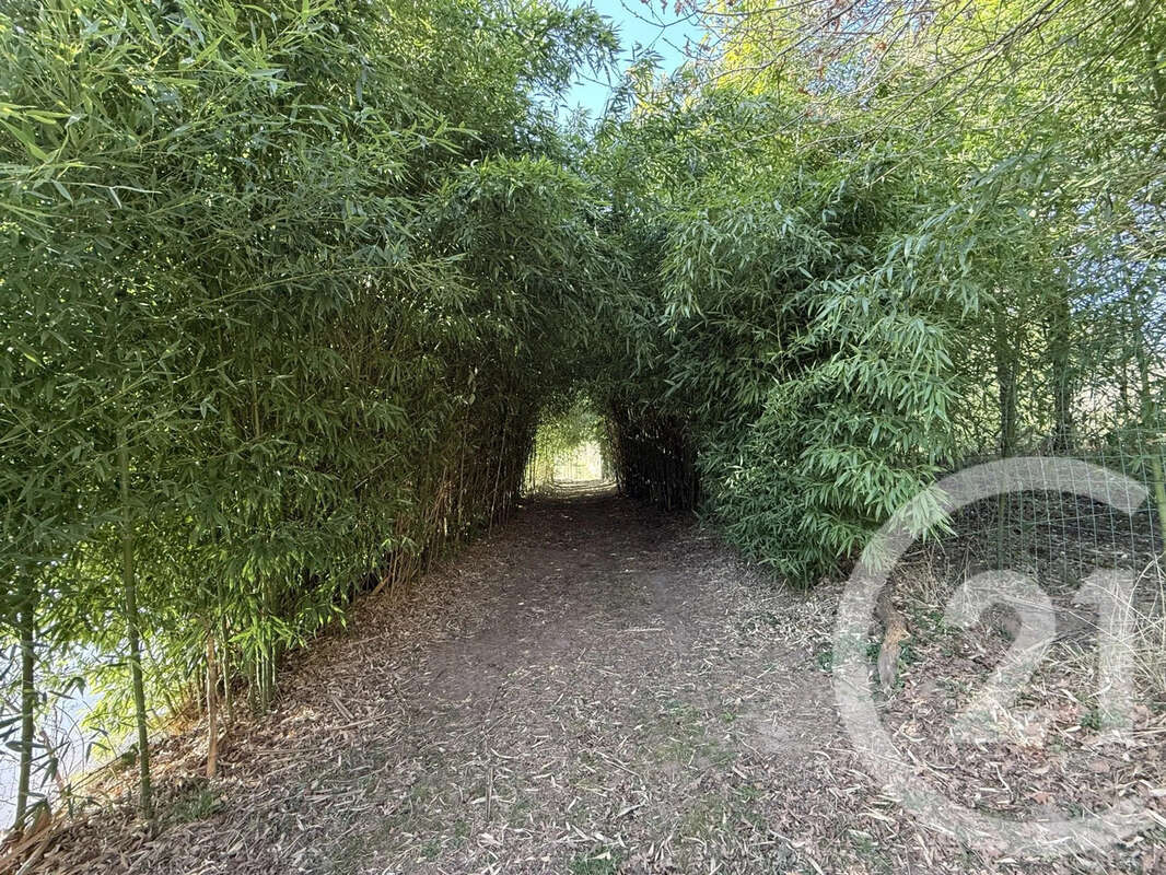 Maison à VILLENEUVE-SUR-ALLIER