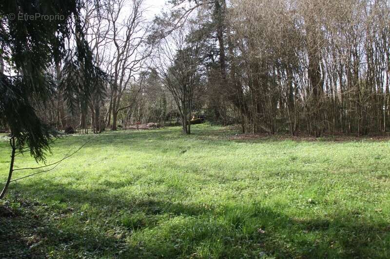 Terrain à BERGERAC