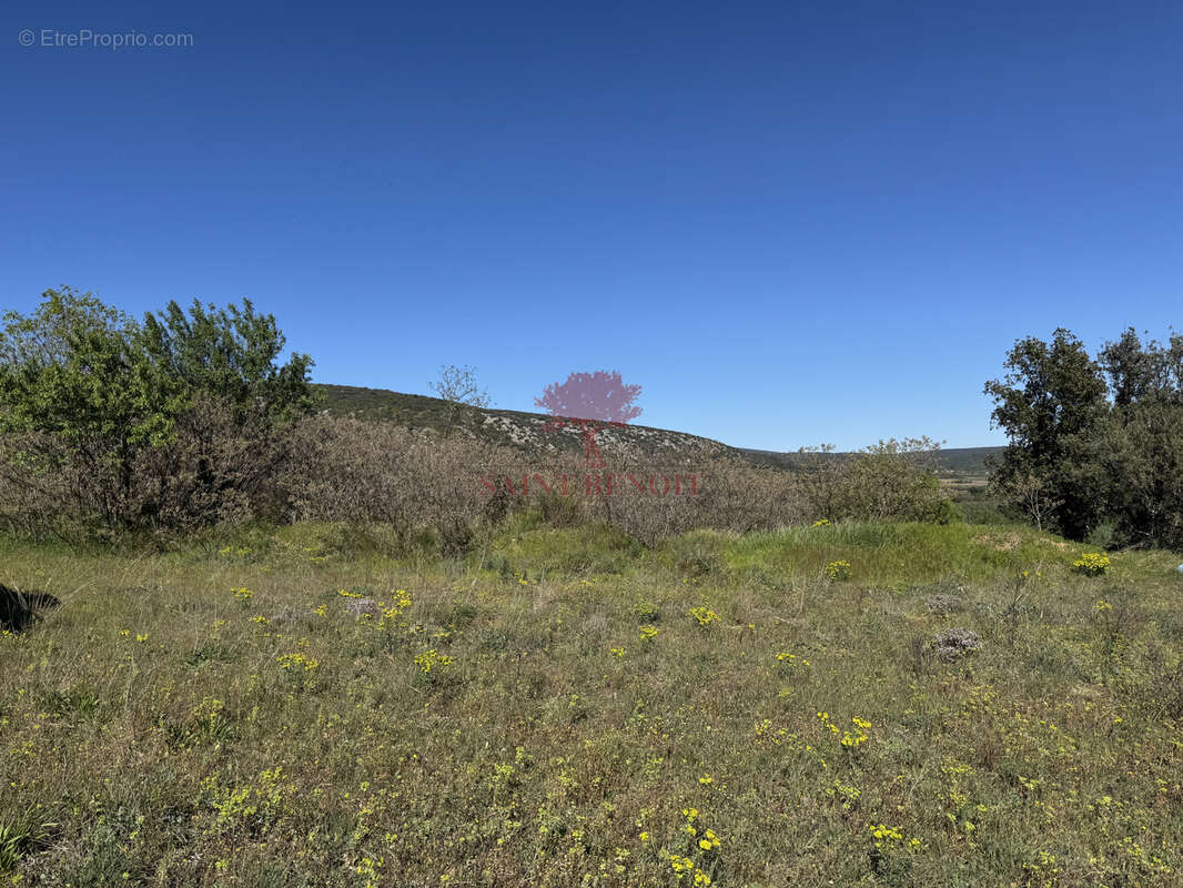 Terrain à SAINT-JEAN-DE-FOS