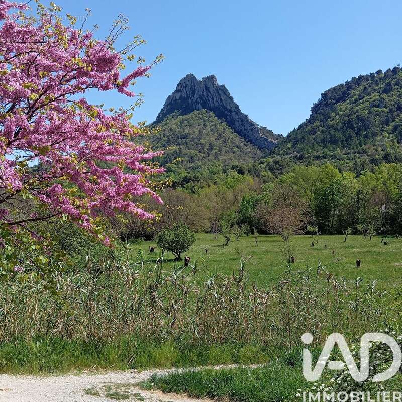Photo 1 - Terrain à BUIS-LES-BARONNIES