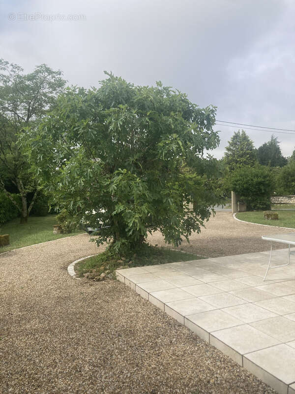 Maison à LA TOUR-BLANCHE