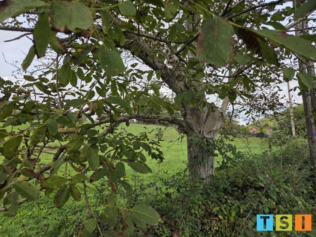 Terrain à SAINT-MARCET