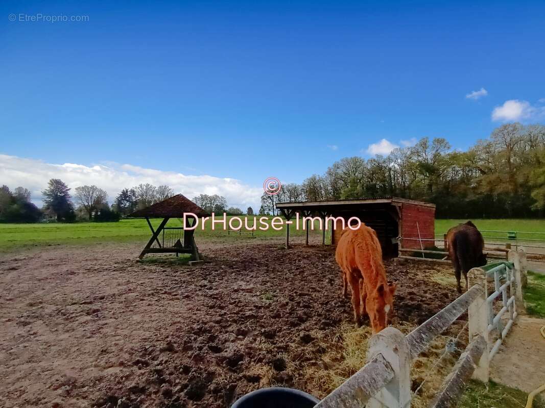 Maison à POIGNY-LA-FORET