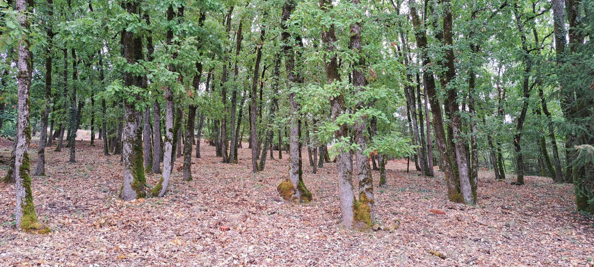 Terrain à SOUILLAC