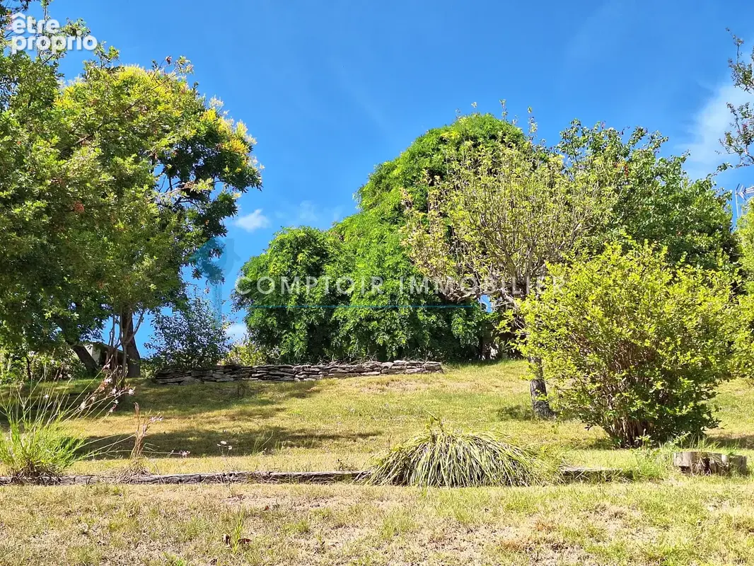 A Vendre Dpt 81 Maison centre-village avec garage et grand terrain - photo 9