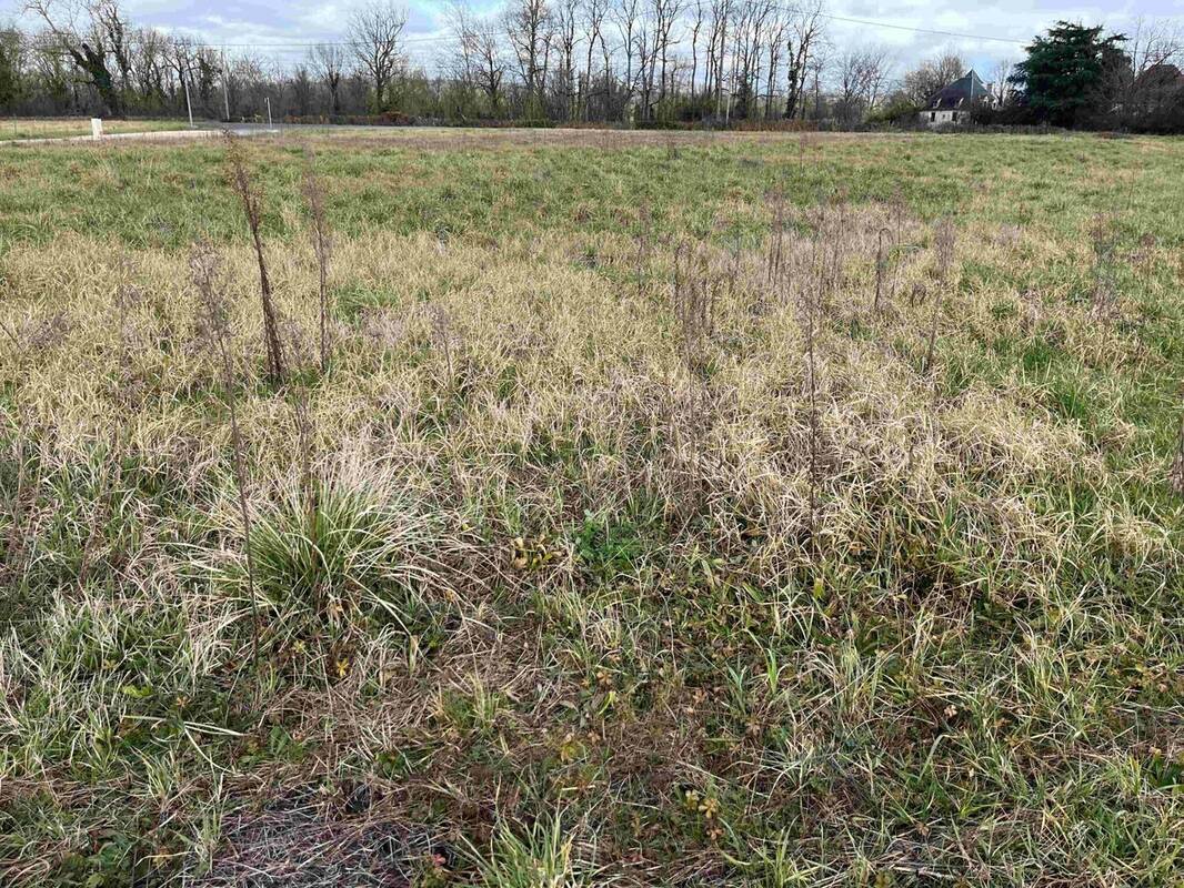 Terrain à CAHORS