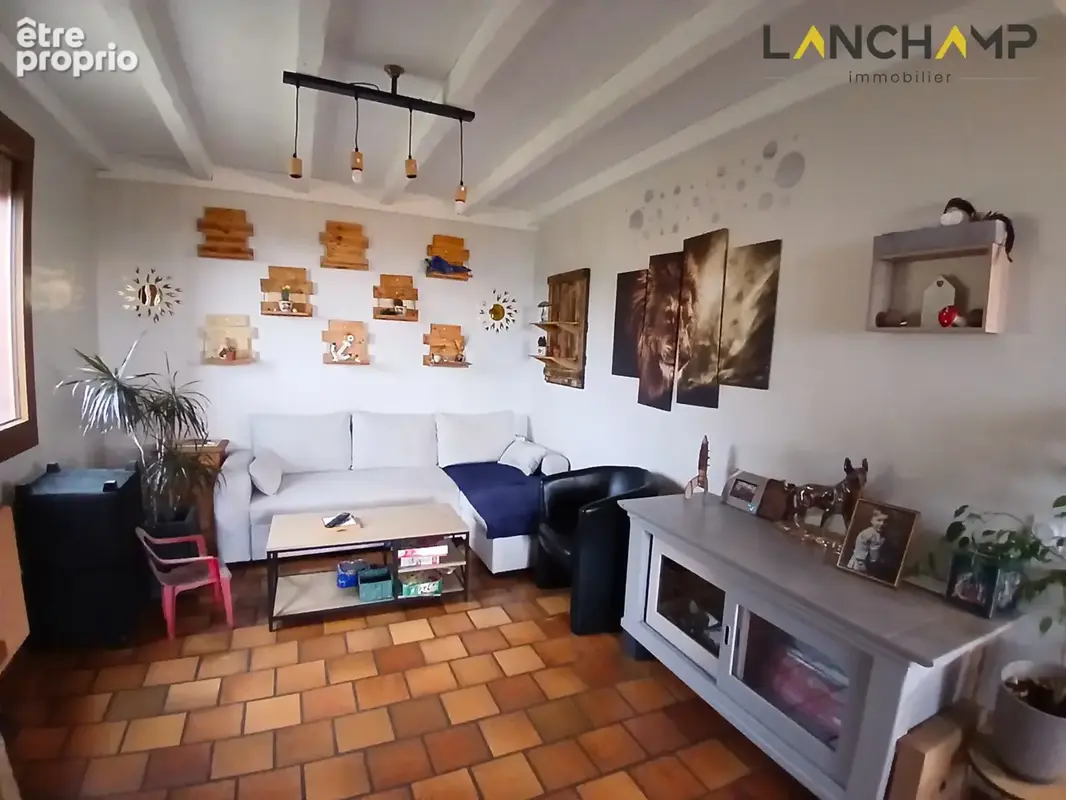 Maison avec grand terrain - photo 5