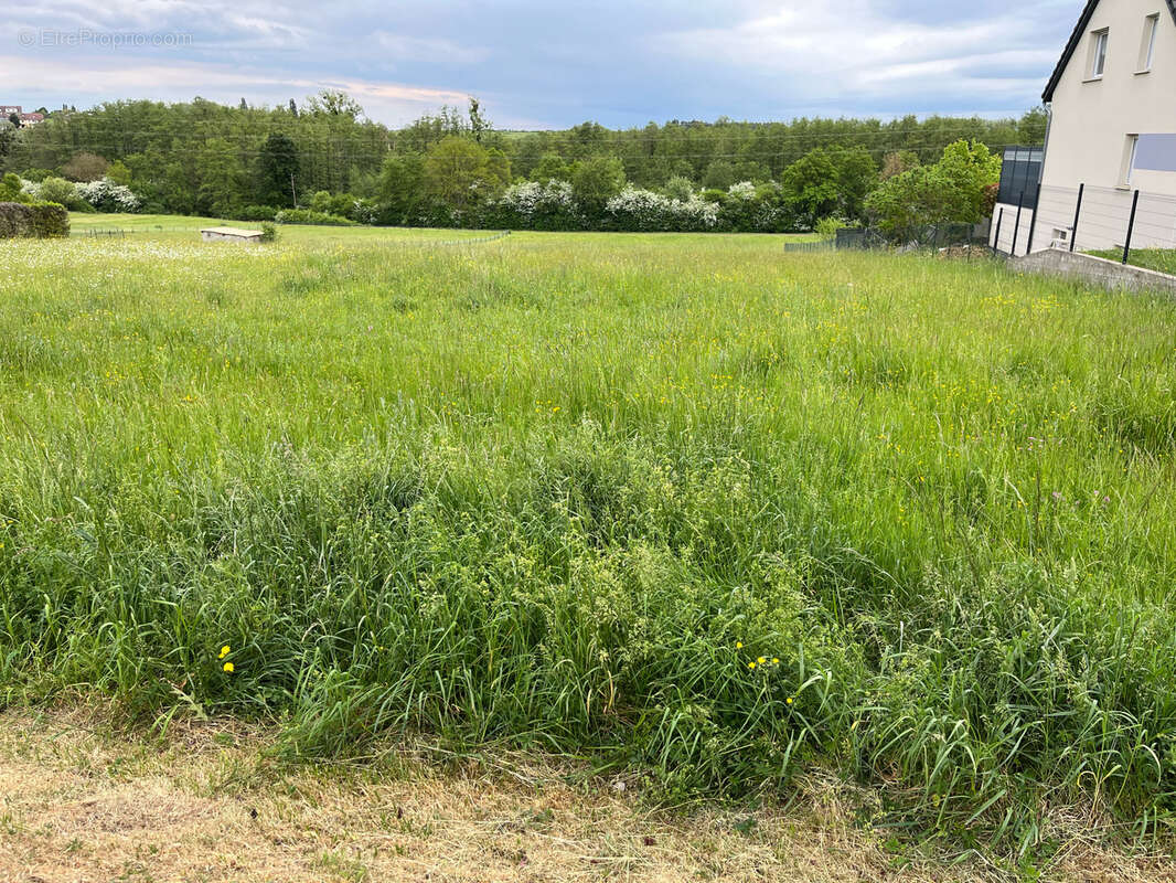 Terrain à NEUFGRANGE