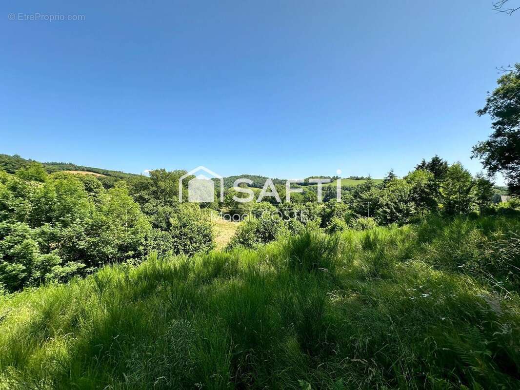 Photo 4 - Maison à SAINT-PIERRE-DE-TRIVISY