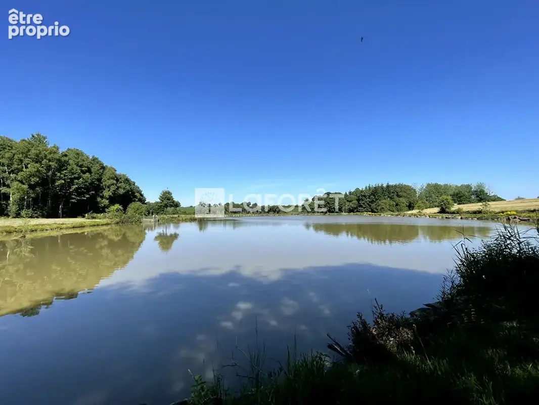 Étang 2 Hectares avec chalet, bois et dépendances BRIOUZE - Normandie - photo 3