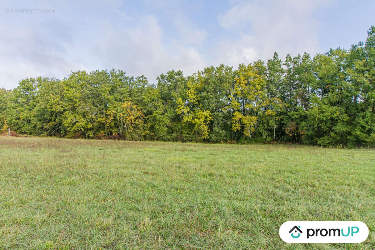 Terrain à SAINT-VICTOR