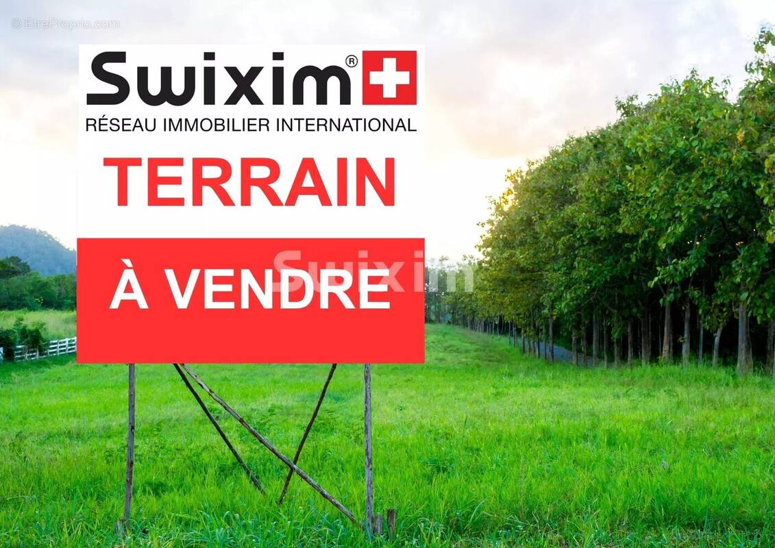 Terrain à CHATENOIS