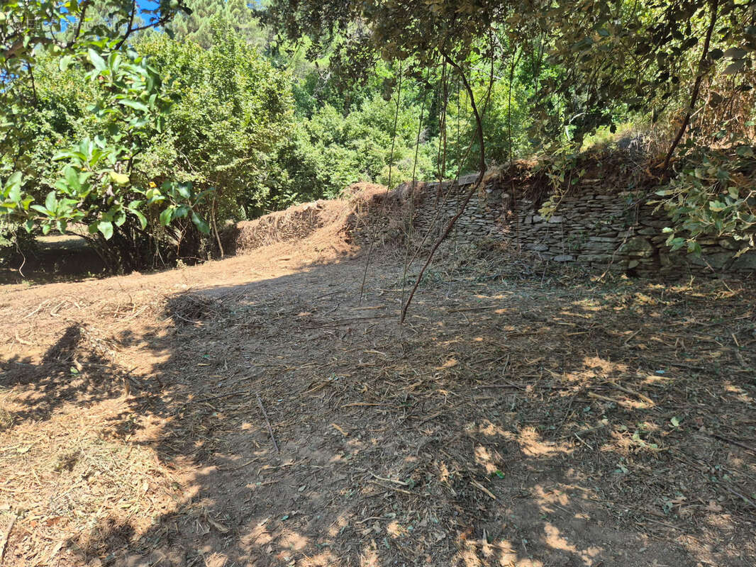 Terrain à vendre  LE COLLET DE DEZE (48) - photo 3