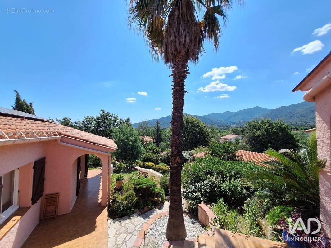 Photo 1 - Maison à LAROQUE-DES-ALBERES
