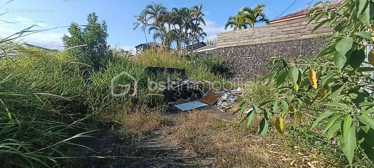 Terrain à SAINT-PIERRE