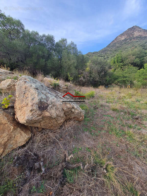 Terrain à BANYULS-SUR-MER