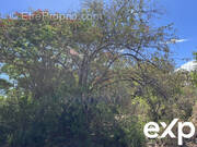 Terrain à SAINT-PIERRE