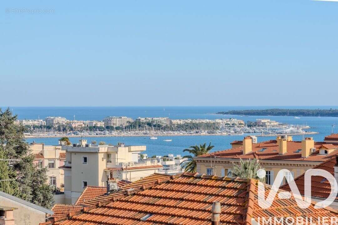 Photo 4 - Appartement à CANNES