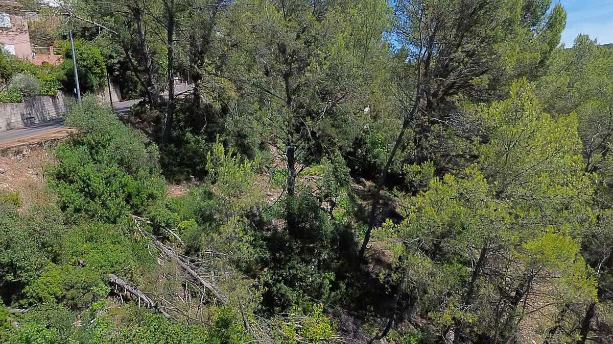 Terrain à SOLLIES-TOUCAS