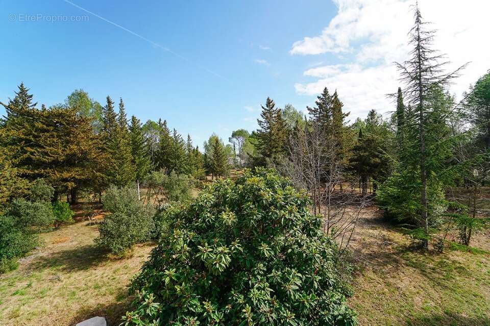 Terrain à LE TRIADOU