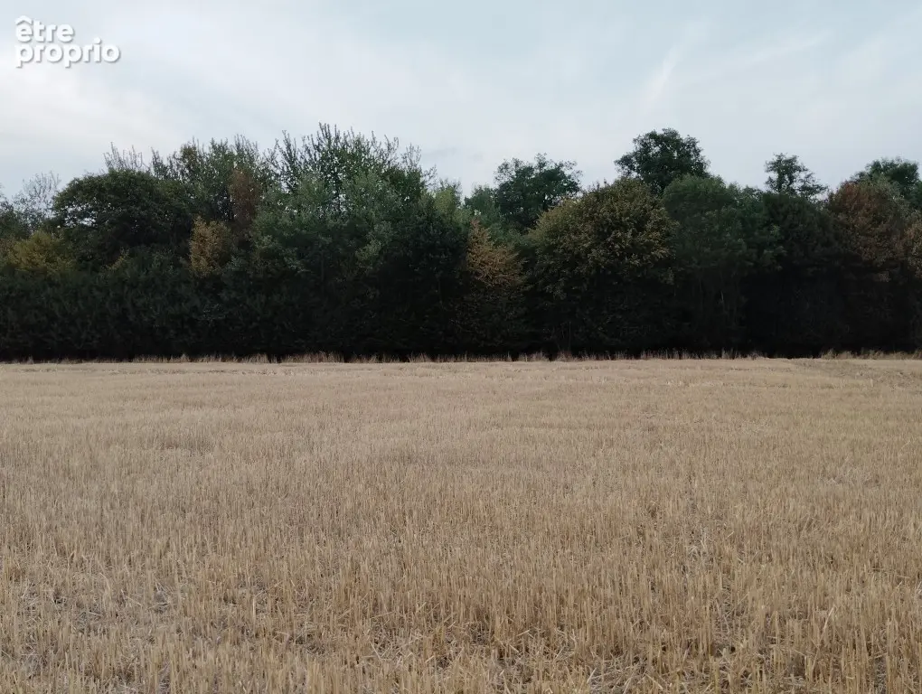 Terrain 23640 m² à Dammarie-Sur-Loing  - photo 2