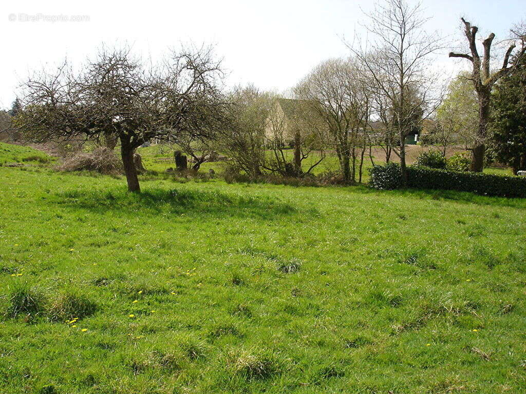 Terrain à LIMERZEL