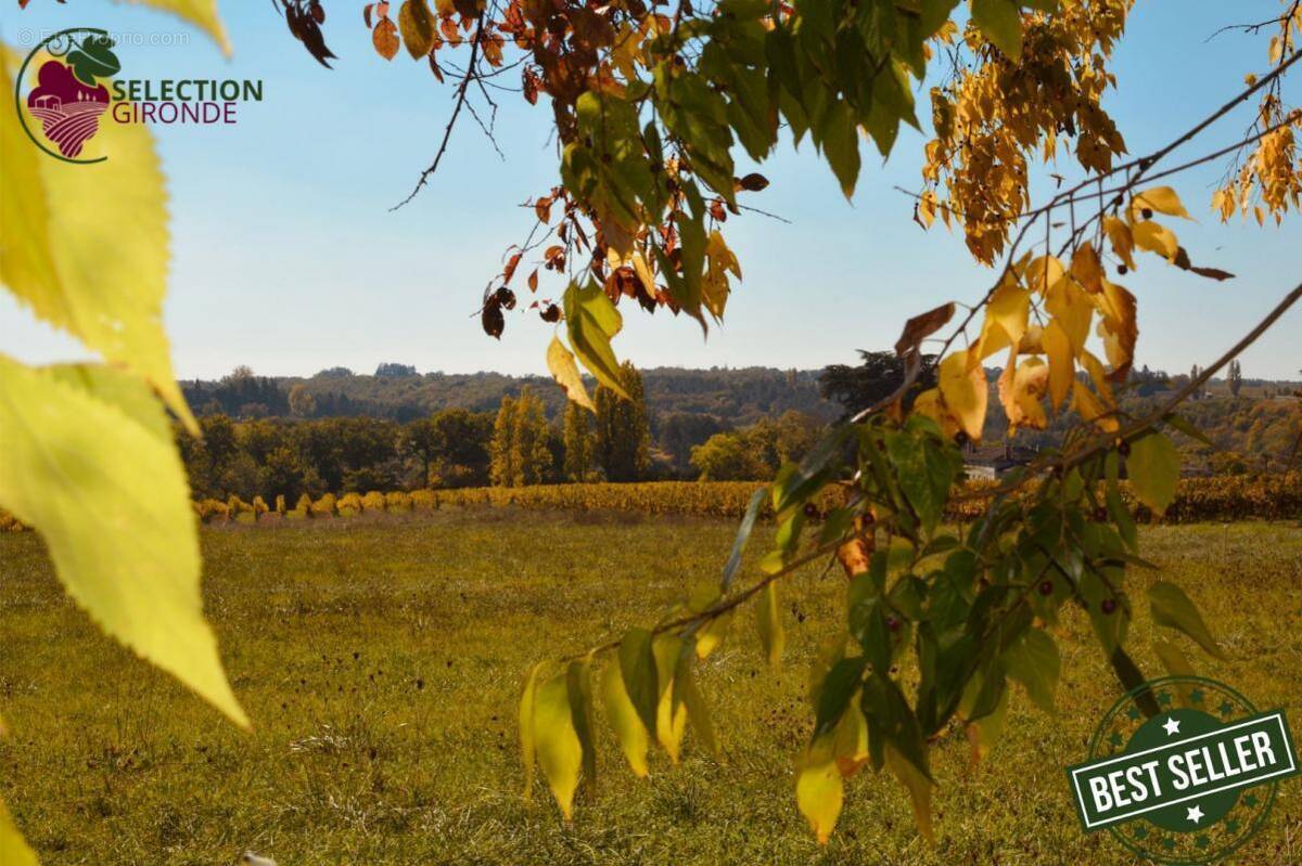 Terrain à PELLEGRUE