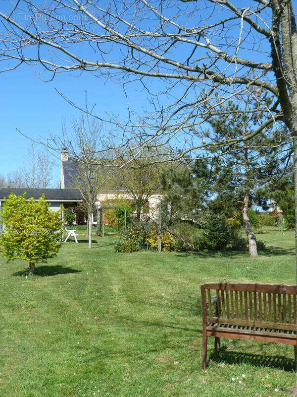 Maison à POUANCE