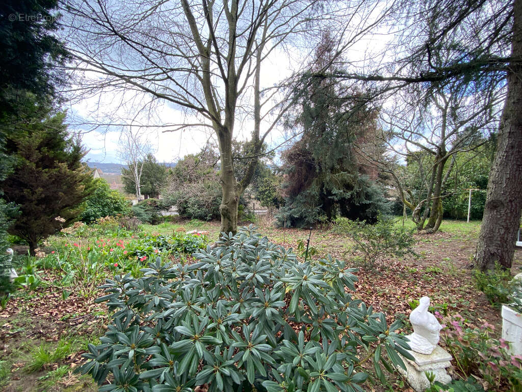Terrain à MARCOUSSIS