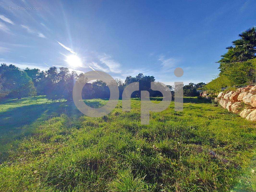 Maison à DRAGUIGNAN