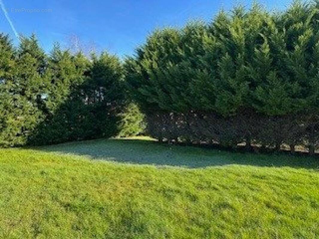 Photo 1 - Terrain à LOUPES