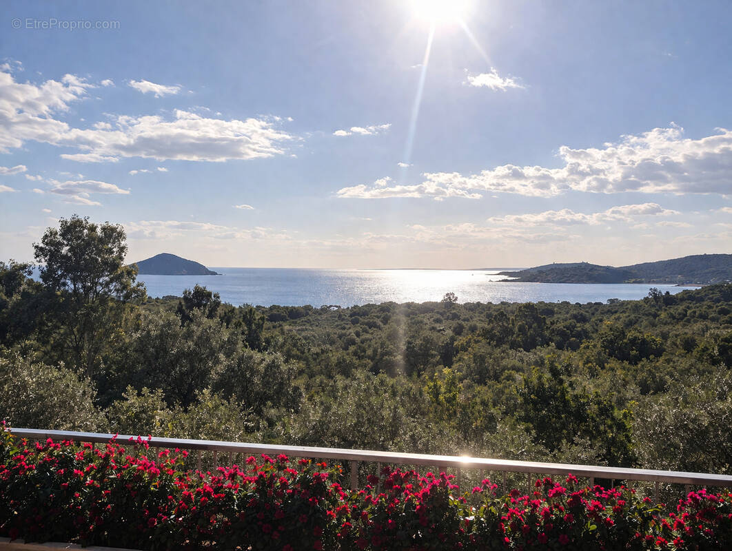 Maison à PORTO-VECCHIO