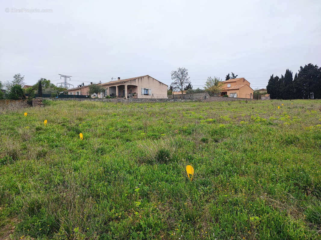 Terrain à CASTELNAU-D'AUDE