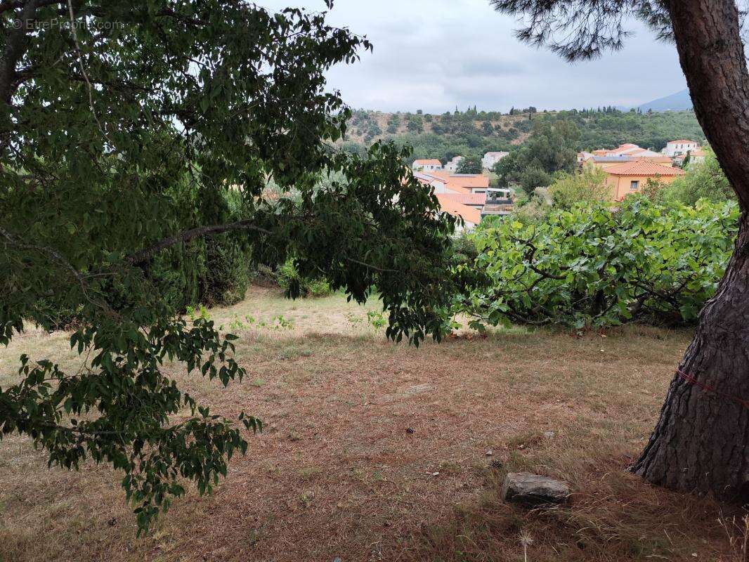 Terrain constructible avec vue sur les Albères - photo 3