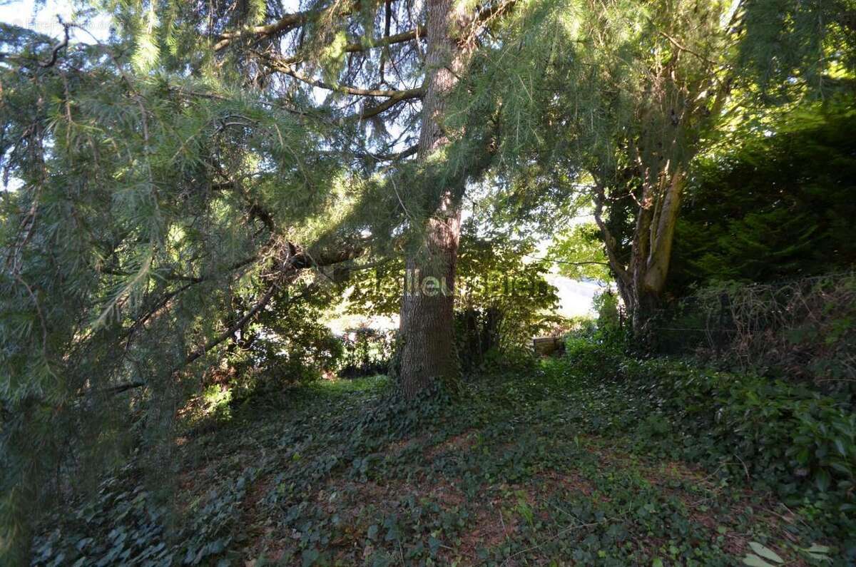 Maison à CALUIRE-ET-CUIRE