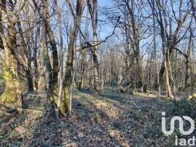 Photo 2 - Terrain à DOMME