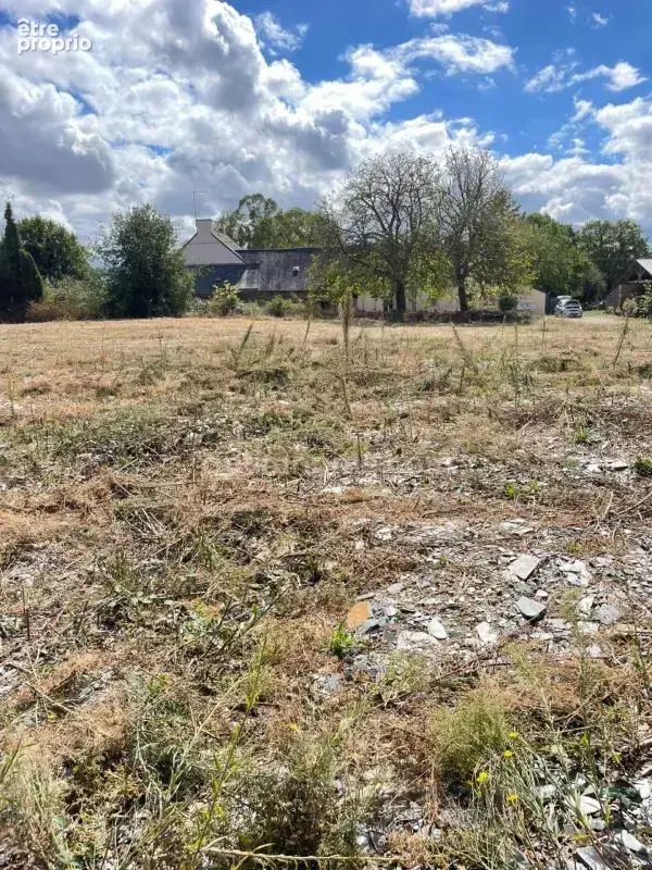 Terrain constructible 1 498 m² au calme — Libre de constructeur (Ploërmel) - photo 3