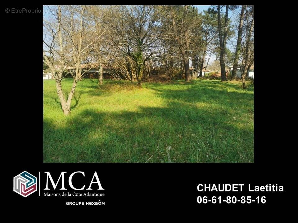 Terrain à BELIN-BELIET