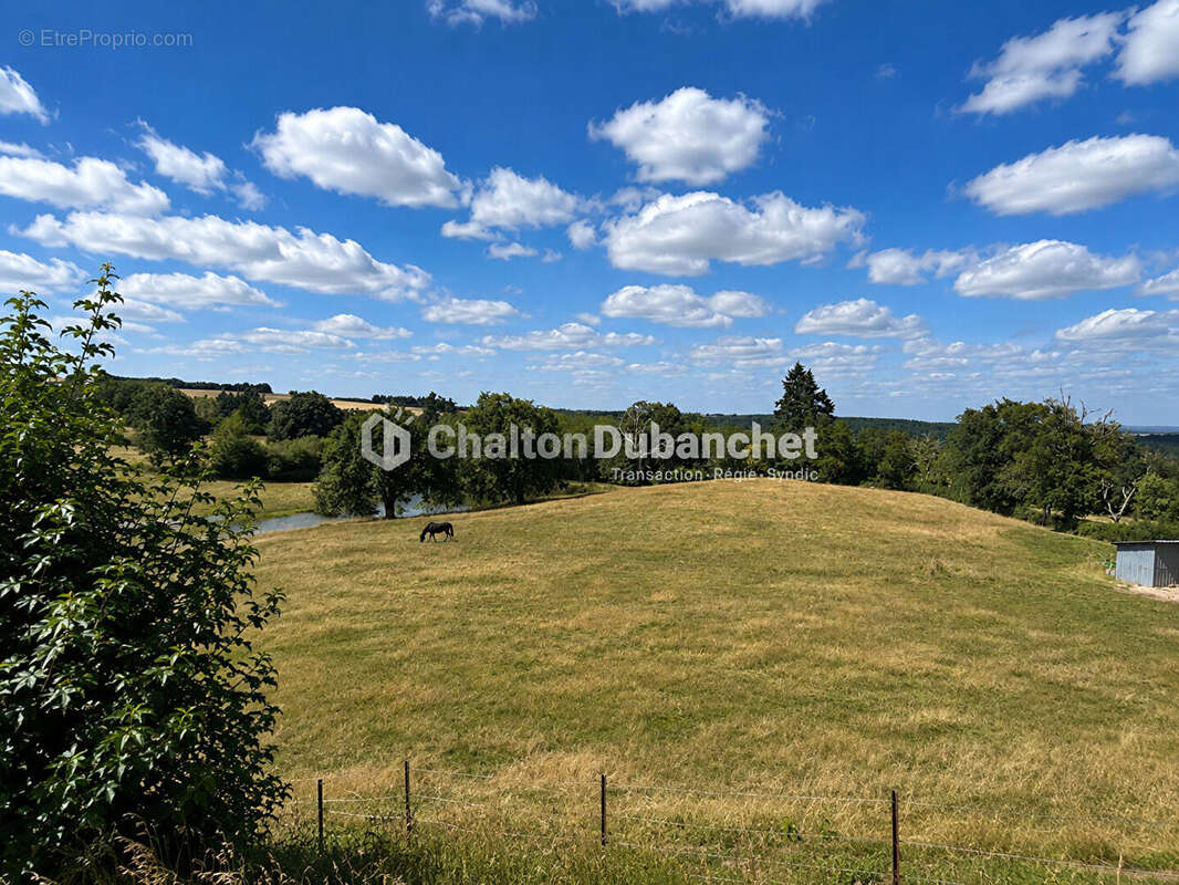 MONTAIGUET EN FOREZ - Maison de 330 m² sur  35000 m² de terrain et deux étangs - photo 10