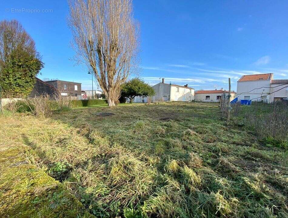Terrain à CIRE-D'AUNIS