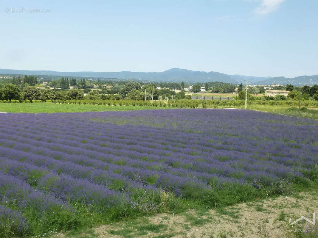 Domaine d’Exception au Cœur de l’Enclave des Papes   Vue Panoramique & Activité de Chambres d’Hôtes - photo 2