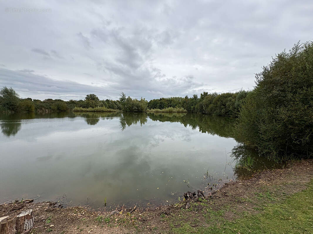 ETANG DE 2 HA  Proche Chateau la Vallière - photo 3